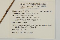 臺灣及己藏品圖，第2張