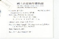 桃葉珊瑚藏品圖，第2張