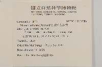 臺灣梣藏品圖，第2張