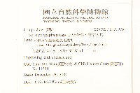多頭苦菜、野剪刀股藏品圖，第2張