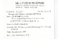 廣東葶藶藏品圖，第2張