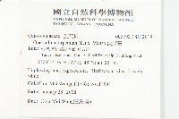 盒果藤藏品圖，第2張