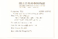 毛假蓬舅藏品圖，第2張