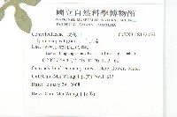 九爪藤藏品圖，第2張