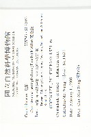 絞股藍藏品圖，第2張