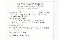 臺灣馬桑藏品圖，第2張