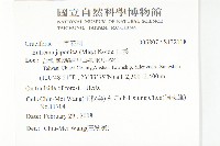 山葵藏品圖，第2張