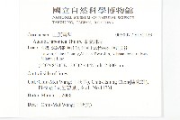 東瀛珊瑚藏品圖，第2張