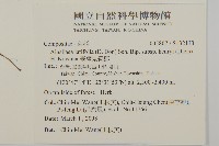 臺灣鬼督郵藏品圖，第2張