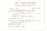 蔓黃菀藏品圖，第2張