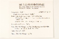 絲綿草藏品圖，第2張