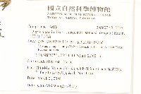 玉山毛蓮菜藏品圖，第2張