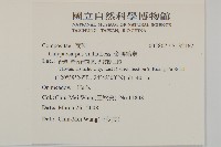 金腰箭舅藏品圖，第2張