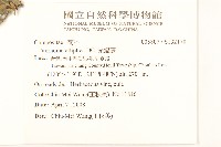 光耀藤藏品圖，第2張