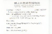 廣東葶藶藏品圖，第2張
