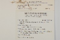 紫花霍香薊藏品圖，第2張