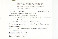 梜木藏品圖，第2張