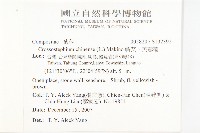 蘄艾、芙蓉菊藏品圖，第2張