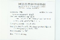 霍香薊藏品圖，第2張