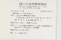 鱧腸藏品圖，第2張