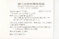 馬蹄金藏品圖，第2張