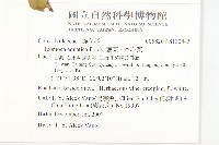 甕菜、空心菜藏品圖，第2張