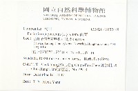 山菊藏品圖，第2張