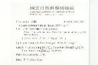 蘭嶼木耳菜藏品圖，第2張