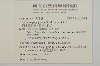 日本賽衛矛、日本假衛矛藏品圖，第2張