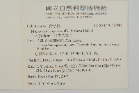 日本賽衛矛、日本假衛矛藏品圖，第2張