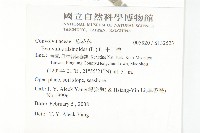 土丁桂藏品圖，第2張