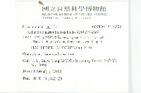 鵝鑾鼻燈籠草藏品圖，第2張