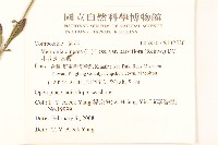 小花斑鳩菊藏品圖，第2張