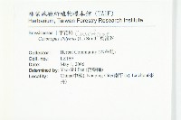 臭濱芥、臭薺藏品圖，第2張