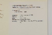 鱧腸藏品圖，第2張