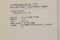 藜、灰藜藏品圖，第2張