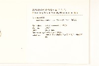 蒲儿根藏品圖，第2張