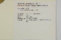 地膚、掃手草藏品圖，第2張