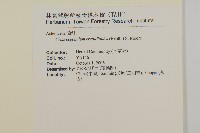 昭和草藏品圖，第2張