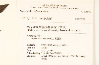 登錄號:S132639藏品圖，第2張