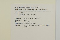 山白蘭藏品圖，第2張