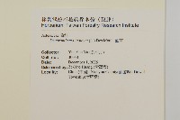油菊、野菊藏品圖，第2張