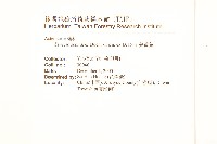 蔓黃菀藏品圖，第2張