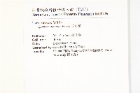 甕菜、空心菜藏品圖，第2張