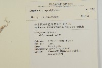 登錄號:S132695藏品圖，第2張