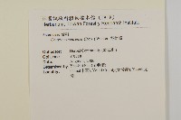 野茼蒿藏品圖，第2張