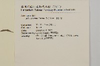 下田菊藏品圖，第2張