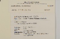 登錄號:S132719藏品圖，第2張