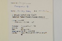 登錄號:S132730藏品圖，第2張