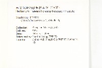 薺藏品圖，第2張